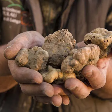 迪莫拉阿尔巴公寓 公寓式酒店 阿尔巴