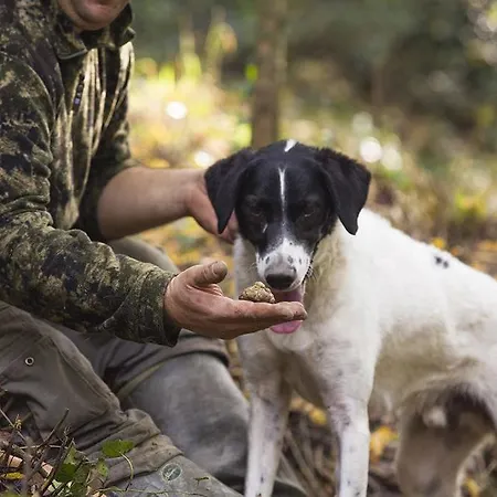 迪莫拉阿尔巴公寓 公寓式酒店